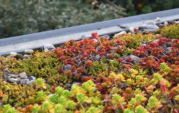 the cost of Brimpton green roof installation